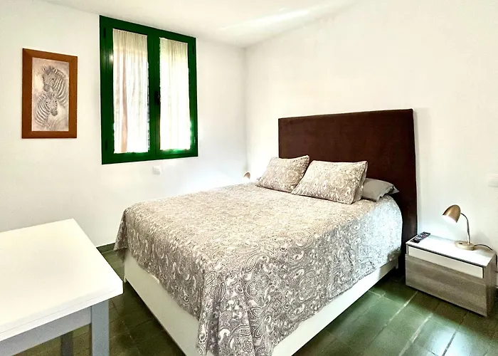 Optimist Apartamento